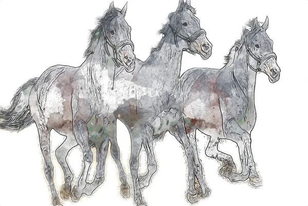 Colorido Caballo Arte Ilustración Grunge Pintura — Foto de Stock