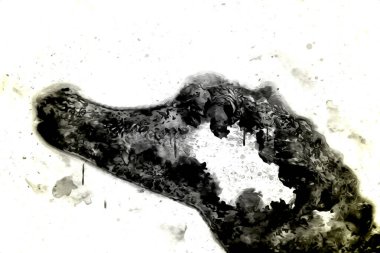 Timsah çizimi - sürüngen el çizimi, sanat çizimi