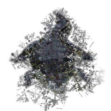 Timsah çizimi - sürüngen el çizimi, sanat çizimi