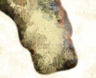 Hippo illüstrasyon sanatı klasik tasarım çizer