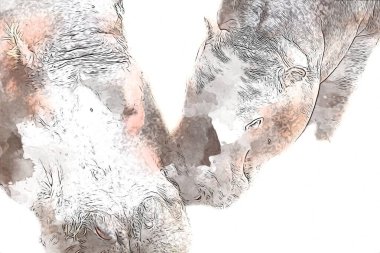 Hippo illüstrasyon sanatı klasik tasarım çizer