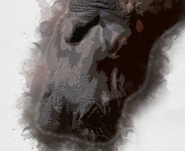 Hippo illüstrasyon sanatı klasik tasarım çizer