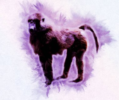 Ağaçların renkli çizimlerinde gerçekçi bir maymun.