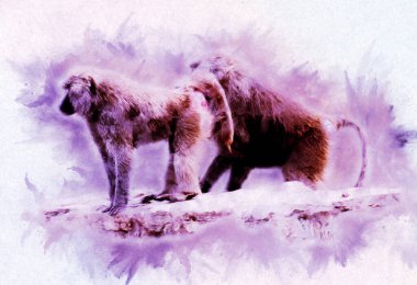 Ağaçların renkli çizimlerinde gerçekçi bir maymun.