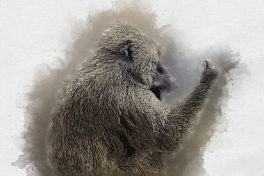 Ağaçların renkli çizimlerinde gerçekçi bir maymun.