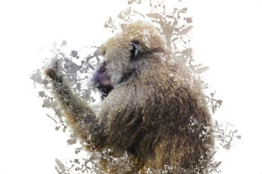 Ağaçların renkli çizimlerinde gerçekçi bir maymun.