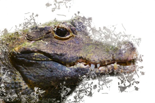 Desenho Crocodilo Esboço Manual Réptil Ilustração Arte — Fotografia de Stock