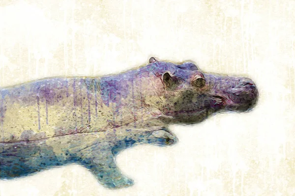 Hippo Ilustracja Sztuka Rysunek Vintage Projekt — Zdjęcie stockowe