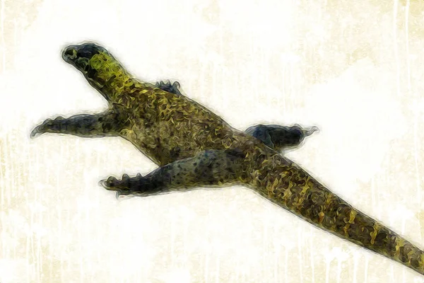 蜥蜴龙绘画古董画插图 — 图库照片