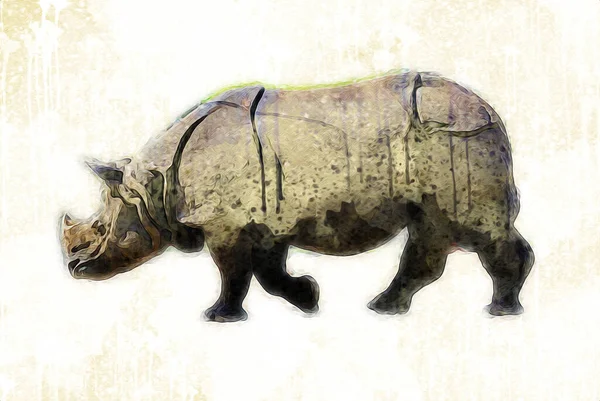 Rhinocéros Animal Savane Africaine Style Dessin Animé Illustration Zoologique Pédagogique — Photo