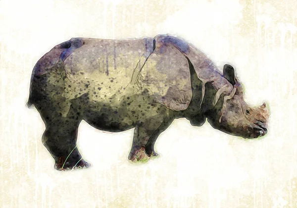 非洲草原动物犀牛的卡通风格 教育生态学说明 — 图库照片
