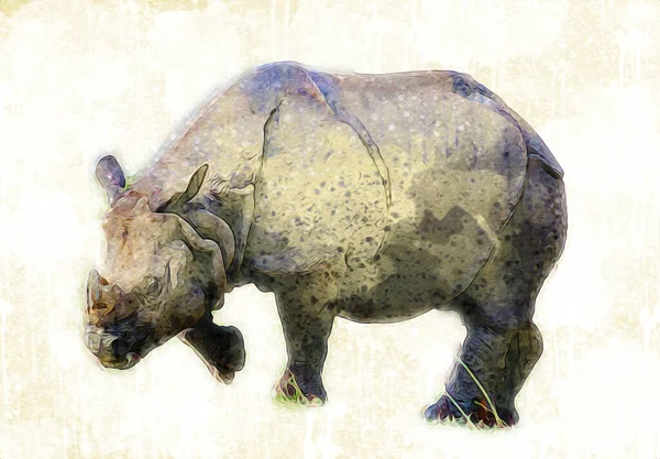Rinoceronte Animal Savana Africano Estilo Cartoon Ilustração Zoologia Educacional — Fotografia de Stock