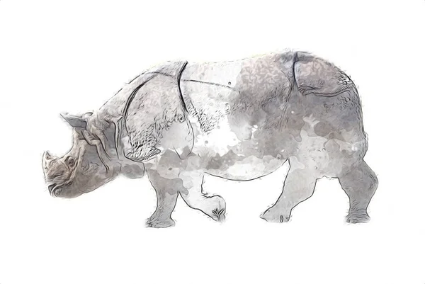 Rinoceronte Animal Savana Africano Estilo Cartoon Ilustração Zoologia Educacional — Fotografia de Stock