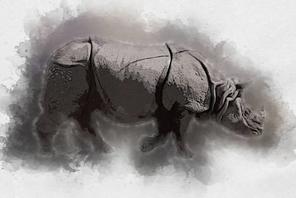 Rhinocéros Animal Savane Africaine Style Dessin Animé Illustration Zoologique Pédagogique — Photo