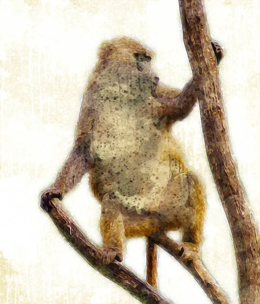 Ağaçların Renkli Çizimlerinde Gerçekçi Bir Maymun — Stok fotoğraf