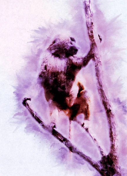 Realistyczna Małpa Drzewie Kolorowe Ilustracja Vintage Rysunek — Zdjęcie stockowe