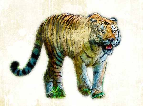 Tigre Art Illustration Couleur Vintage Grunge Rétro — Photo