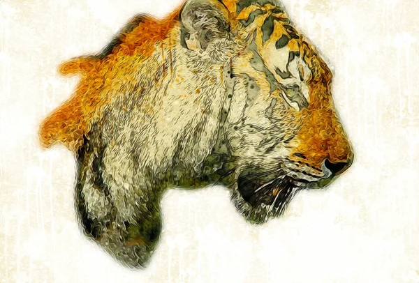 Tiger Art Illustration Farbe Vintage Grunge Retro — Stockfoto