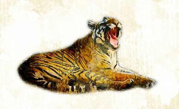 Tigre Art Illustration Couleur Vintage Grunge Rétro — Photo