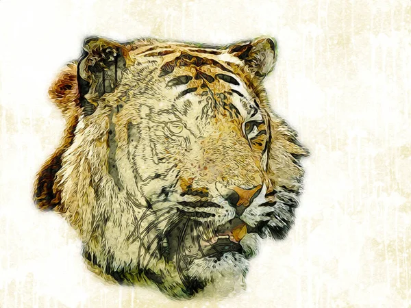 Tiger Konst Illustration Färg Vintage Grunge Retro — Stockfoto