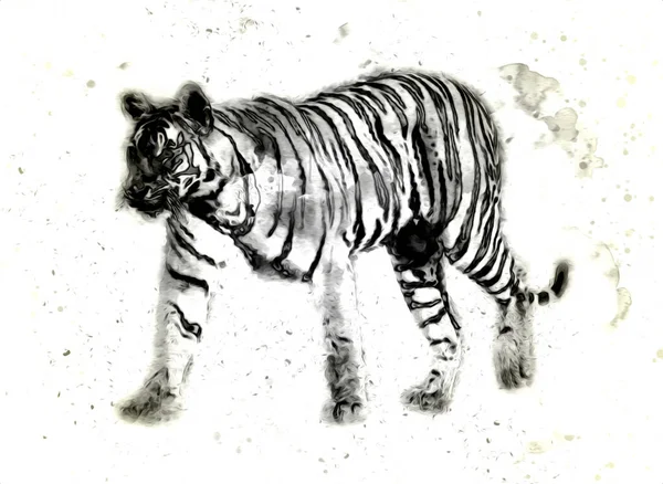 Tiger Arte Ilustración Color Vintage Grunge Retro —  Fotos de Stock