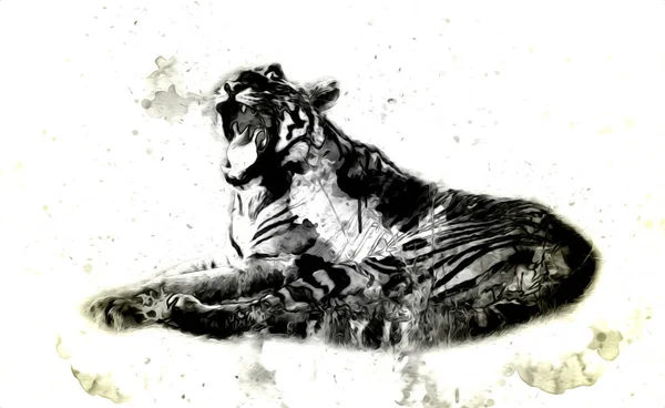 Tigre Arte Ilustração Cor Vintage Grunge Retro — Fotografia de Stock