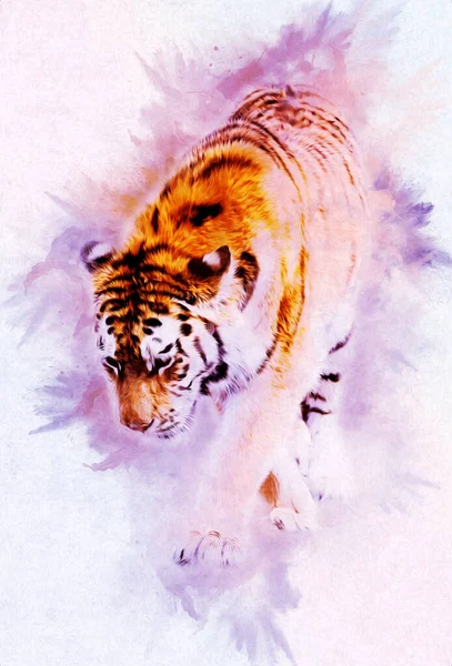 Tiger Art Иллюстрация Цвет Винтажный Гранж Ретро — стоковое фото