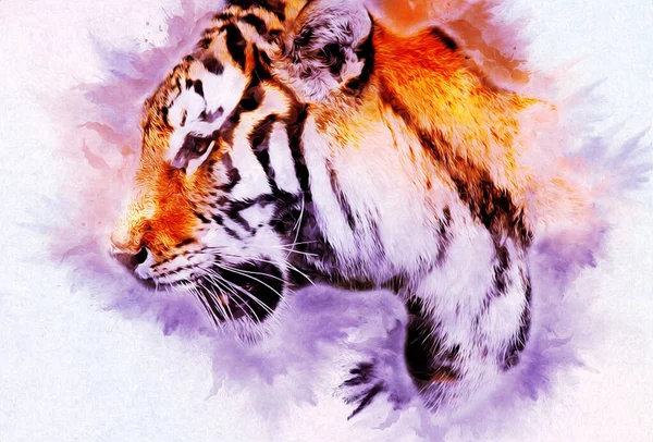 Tiger Art Illustration Farbe Vintage Grunge Retro — Stockfoto