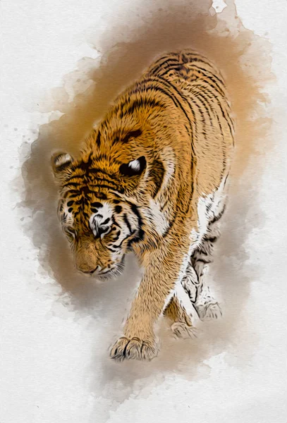 tiger art illustration color vintage grunge retro