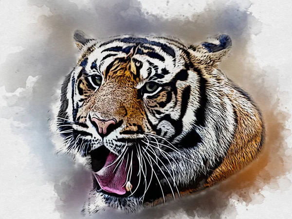 tiger art illustration color vintage grunge retro