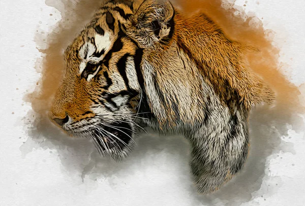 Tiger Art Illustration Color Vintage Grunge Retro — Stock Photo, Image