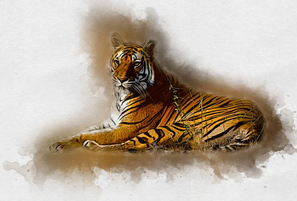 Tiger Art Illustration Farbe Vintage Grunge Retro — Stockfoto