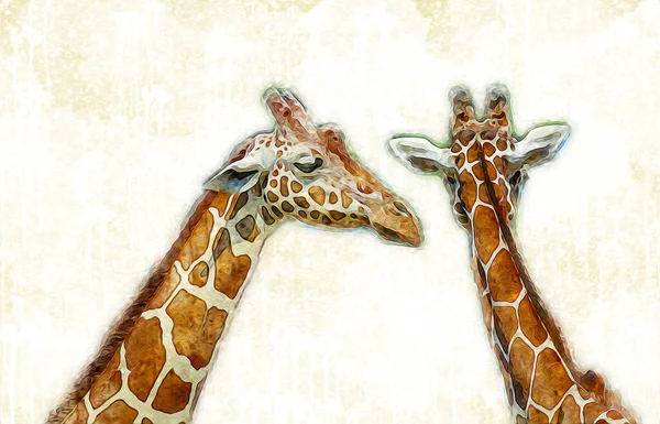 Zeichnen Kunst Zeichnung Illustration Der Giraffe — Stockfoto