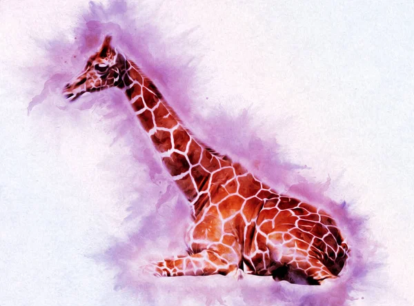 Drawing art drawing illustration of giraffe