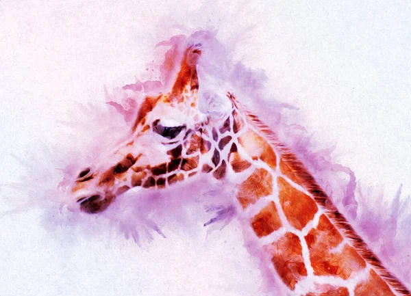 长颈鹿绘画艺术图解 — 图库照片