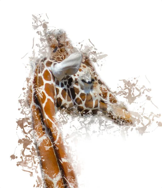 Drawing Art Drawing Illustration Giraffe — Stock Photo, Image