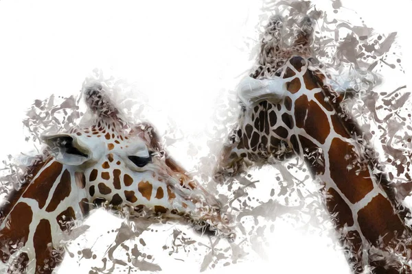 Tekening Tekening Illustratie Van Giraffe — Stockfoto