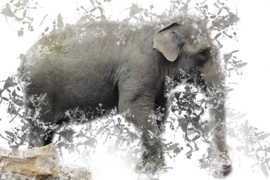 Fil sanatı illüstrasyonu eski moda.