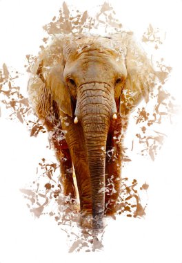 Fil sanatı illüstrasyonu eski moda.