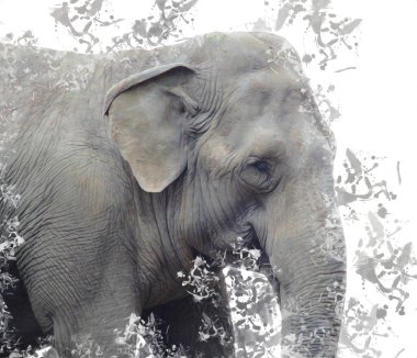 Fil sanatı illüstrasyonu eski moda.