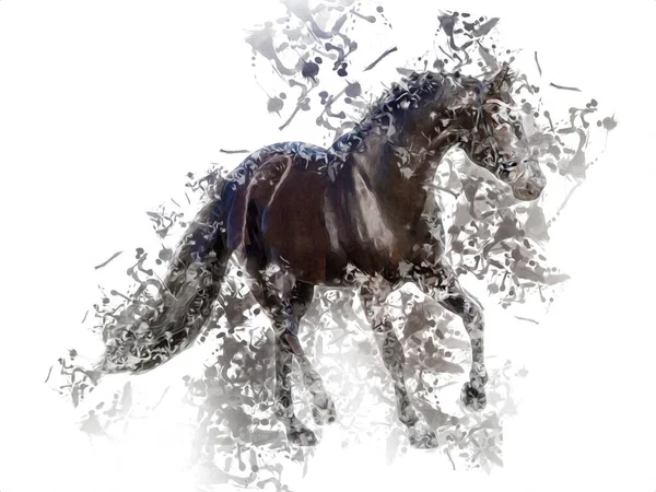 Colorful Horse Art Illustration Grunge Painting — Stock Photo, Image