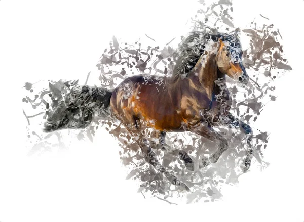 Färgglada Häst Konst Illustration Grunge Målning — Stockfoto