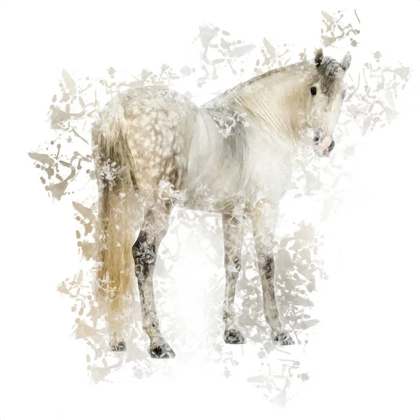 Colorful Horse Art Illustration Grunge Painting — Stock Photo, Image