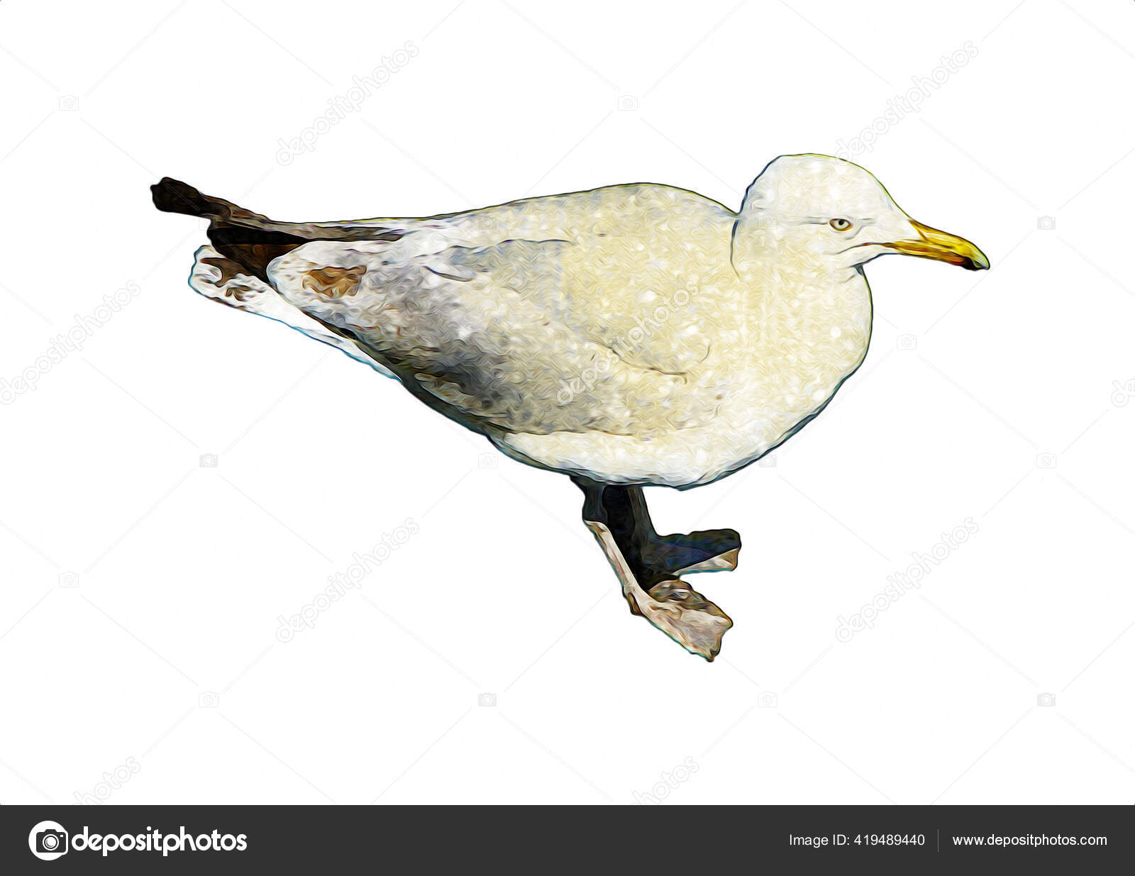 Atlantik Putih Burung Laut Terbang Langit Burung Camar Pantai Burung Stok Foto C Maxtor7777 419489440