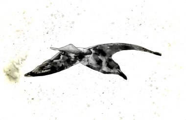 Atlantik beyaz deniz kuşu gökyüzünde uçar. Plaj martısı. Deniz kuşları, martı çizgi film çizimleri.