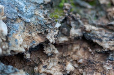 Kaya, tuz ve mineraller Close-up. Sığ derinlik-in tarla.