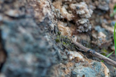 Kaya, tuz ve mineraller Close-up. Sığ derinlik-in tarla.