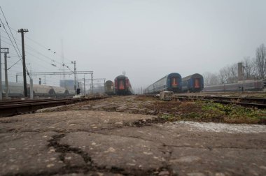 Tren istasyonunda bekleyen trenler. Sisli bir gün