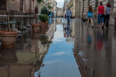 Timisoara, Romanya - 23 Temmuz 2014: Sokakta yürüyen insanlar. Yağmurdan sonra. Gerçek insanlar.
