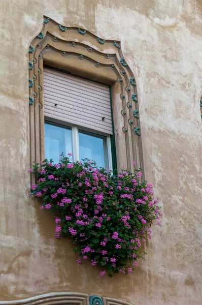 Kleine Rosa Blüten Schmücken Ein Fenster Hausfassade — Stockfoto